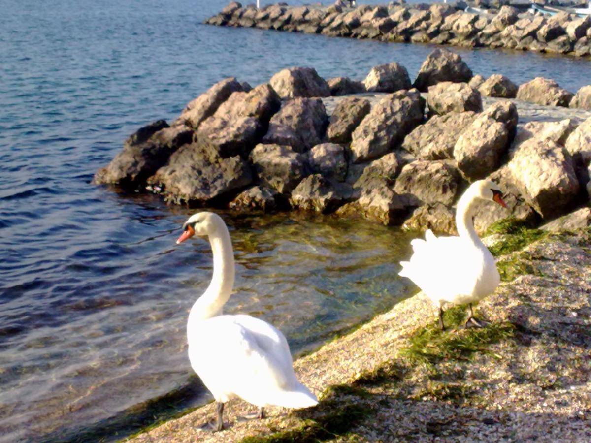 Residenza Al Sogno - On Lake Garda Cavaion Veronese Ngoại thất bức ảnh